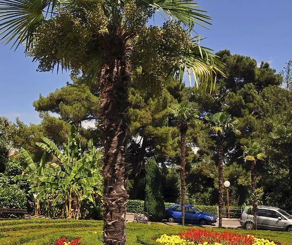 Gianfranko * Opatija